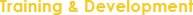 Training & Development